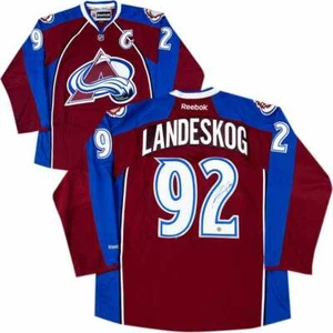 Gabe LANDESKOG Colorado Avalanche Autographed Signed NHL Jersey Frozen Pond COA - Picture 1 of 7