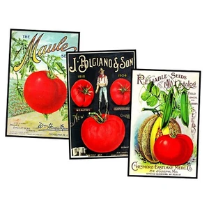 Paquete de 3 imágenes postales de semillas de jardín, 3,5" x 5,5", pegatinas hágalo usted mismo, reproducciones - Imagen 1 de 1