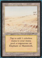 Elephant Graveyard Arabian Nights HEAVILY PLD Land Rare CARD (248096) ABUGames