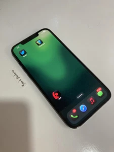 iPhone 12 - 128 GB With Original Twitter Logo - Pro Max with Original Twitter - Afbeelding 1 van 3