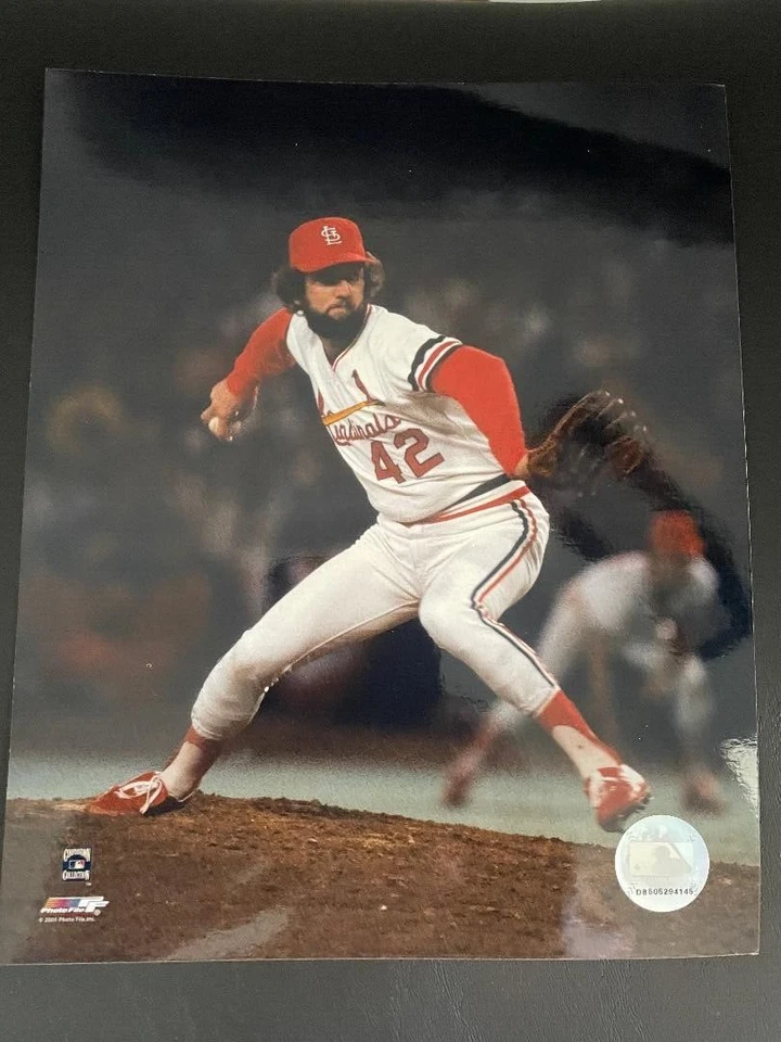 Bruce Sutter Photofile  8x10 Photo - Image 1 of 1