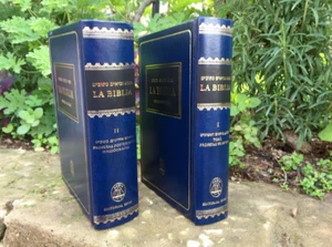 2 TOMOS Biblia en español y en Hebereo Traduccion hebraica - Imagen 1 de 12