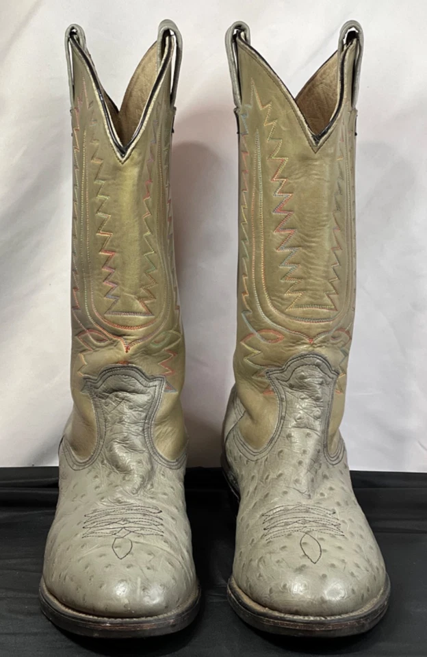 Botas de avestruz para hombre 11.5 E gris tostado bordado punta de acero puntada multicolor Foto 1 de 4