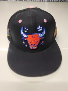Chicago Bulls Cap BMO Artist Hat Series Blake Jones Snapback Melonwear NEW - Picture 1 of 7