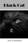 Black Cat by S.M. Flanagan Paperback Book