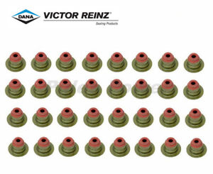 (32 pcs) Reinz Valve Stem Seal Kit 11340029751 For BMW X5 320i 550i E60 E70 E71
