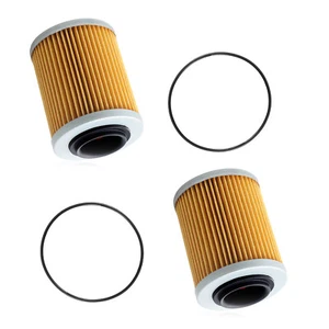 2x Engine Oil Filter Cartridge for 2017 2018 2019 CF-Moto CFORCE 500 S EPS - Picture 1 of 10