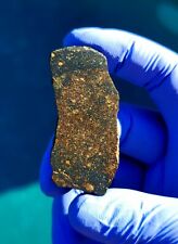 Meteorite**NWA 13683; R3-6**31.955 gram gorgeous endcut, very rare type!!!