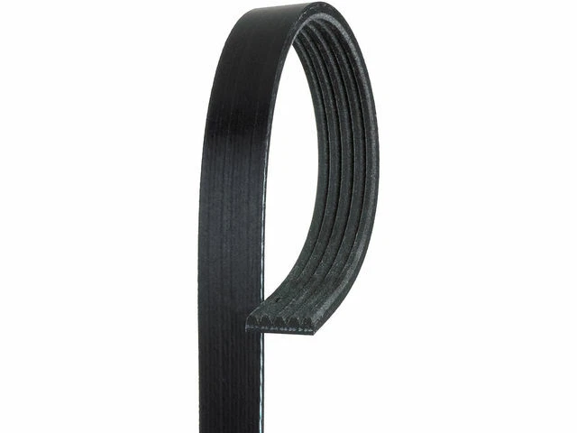 Cinturón multi costilla para Kia Sorento 2003-2006 AC Delco 41825BP Foto 1 de 2