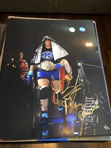 Josh Barnett Inscription 16x20 Signed Autograph Knock Out KO Authentic Champ - Picture 1 of 1