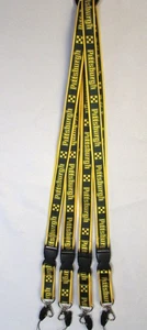 Pittsburgh Lanyard Strap Keychain NBA NFL MLB NHL Basketball Football Fan - Picture 1 of 6