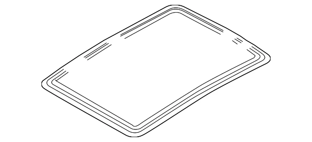 Weather-Strip de vidrio genuino GM 13130459 Foto 1 de 2