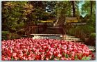 Postcard - Tulips, Kingwood Center, Mansfield, Ohio, USA