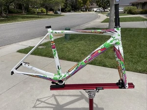 New 2018 Fuji 1.1 SL Disc Lightweight Full Carbon Frame / Fork, 54, Custom Paint - Picture 1 of 16