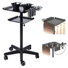 Salon Tray Cart with Extra Storage Space with 2 Magnetic Hair Color Bowls W3D2