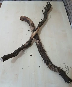 2 große Wurzeln Wurzelholz Baumstamm Natur Basteln Floristik Terrarium Deko 73cm - Bild 1 von 8