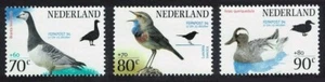 NETHERLANDS ANIMAL BIRDS full MNH set (3) 1994 B677-9 Mi 1501-3 - Picture 1 of 1