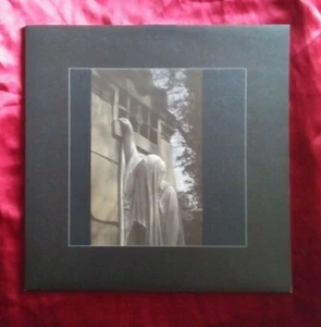 Dead Can Dance - Within The Realm Of A Dying Sun - 180gram vinyl mint - Imagen 1 de 1