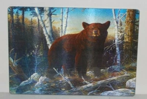 #40042 Brown Bear Tempered Glass Cutting Board - Picture 1 of 7