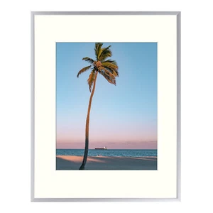 12x16 Metallic Silver Picture Frame Collection Ivory Color Mat for 8.5x11 Photo - Picture 1 of 7