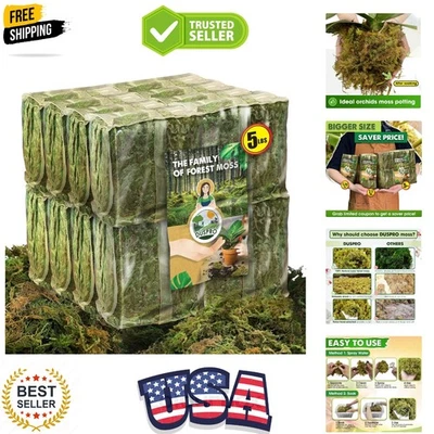 Natural 5 LBS Bulk Dried Moss - Perfect for Orchids & Indoor Plant Care - Image 1 of 4