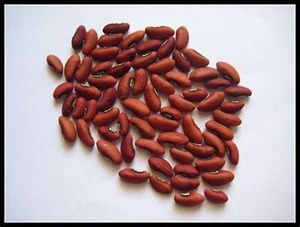Red long Beans ( mea ) seeds 50g free shipping world wide - Picture 1 of 5