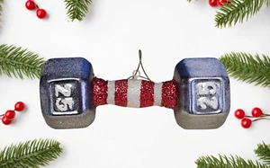 NUEVO Adorno de Navidad MANCUERNAS Pesas Levantamiento de Pesas 1515 - Imagen 1 de 6