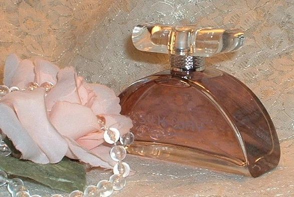 SILK WAY ~ Ted Lapidus ~ EDP en caja Eau de Parfum Perfume Spray ~ 2,5 oz / 75 ml ~ Foto 1 de 1