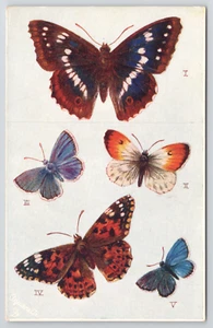 Raphael Tuck Butterflies and Moths Postcard 9219 Purple Emperor Painted Lady - Picture 1 of 4