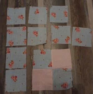 8 + Vintage antique Gingham Check/ Strawberry Shortcake Quilt Blocks A-50 - Picture 1 of 4