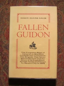 FALLEN GUIDON - GENERAL JO SHELBY'S CONFEDERATE COMMAND TEXAS MEXICO EXPEDITION - Picture 1 of 12