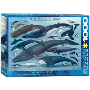 (EG60000082) - Eurographics Puzzle 1000 Pc - Whales & Dolphins - Picture 1 of 1