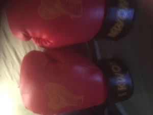 Kids Kobra Boxhandschuh Kwon - Bild 1 von 2