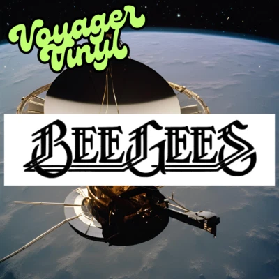 VOYAGER VINYL BeeGees Vinyl Decal! - Show Your Favorite Disco Band Some Love!