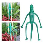 Garden Tools Lizard Plant Clip Plant Binding Rope Plant Bracket Plant Cable Tie
