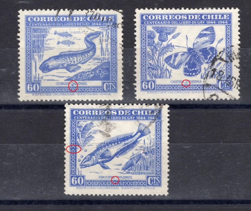 CHILE 1948 Claudio Gay 60c blue Nature ERROR VARIETY x3 differents butterfly - Image 1 of 1