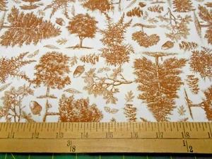 30" Riley Blake Bo Bunny Trees Brown Fabric - Picture 1 of 1