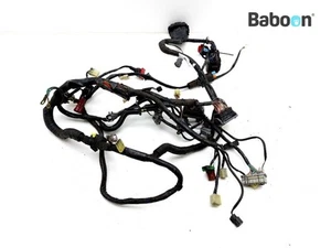 Wiring Harness (Main) Honda CBR 1000 RR Fireblade 2004-2005 (CBR1000RR SC57) - Picture 1 of 17