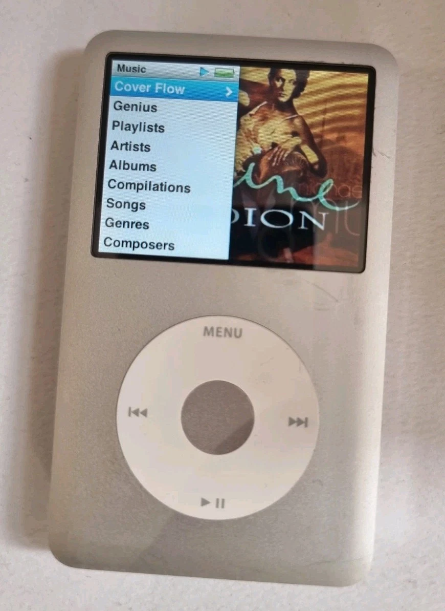 iPod classic 80GB(ジャンク品) + 新品外装・スイッチ iPod classic 80GB(ジャンク品) + 新品外装・スイッチ iPod classic