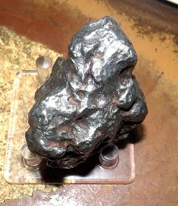 756 gm . CAMPO DEL CIELO METEORITE; 1.67 LBS  LOWEST PRICE;  AAA GRADE CLEANED - Picture 1 of 12