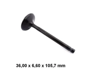 VENTIL EINLASS Einlassventil für HONDA XR 600 R 85-00' Intake Valve - Picture 1 of 1