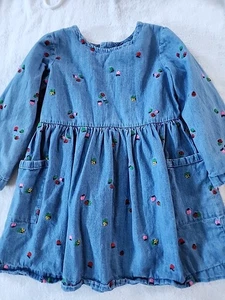 Hanna Andersson Denim Floral Ladybugs Dress Size 5 Preowned - Picture 1 of 6