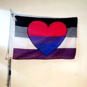 150*90 cm Asexual Biromántico Orgullo Biro Ace Corazón Bisexual LGBT Bi Romántica Bandera - Imagen 1 de 4