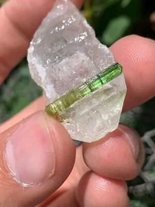 94.75 Carat Green Tourmaline on Quartz Matrix – Natural Crystal from Pakistan - Picture 1 of 17