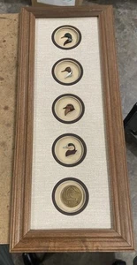 Ducks Unlimited Framed Mini Carved Painted Duck Head Set, Culbertson's 20" x 8" - Picture 1 of 13