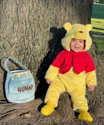 NUEVO CON ETIQUETAS DISFRAZ DE OSO WINNIE THE POOH NIÑOS GRANERO DE CERÁMICA 0-6 O 6-12 O 12-24 MESES Foto 1 de 4
