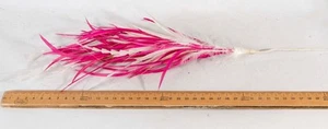 Fuchsia & cream feather bunch Millinery Fascinators Hats Making 100% AU Seller - Picture 1 of 3