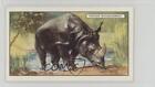1937 Gallaher Wild Animals Tobacco The Indian Rhinoceros #18 0j8f