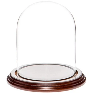 Cúpula de exhibición de vidrio Plymor de 4,5" x 6" (base de chapa de caoba oscura) - Imagen 1 de 1