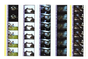 Jurassic Park (1993) 35mm Film Cell 20 Strips - Picture 1 of 4